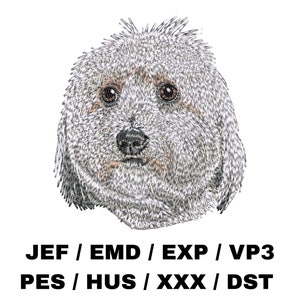 Coton de Tulear embroidery file - Dog Lover Gifts, Realistic Dog, Trendy Embroidery Pattern, Cute Pet, Animal Craft, Custom Decor Projects