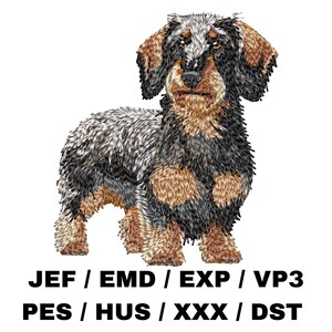 May include: Embroidered image of a dachshund dog with black, brown, and gray fur. The dog is standing with its front paws slightly apart and its back legs together. The image is surrounded by text that reads "JEF / EMD / EXP / VP3 PES / HUS / XXX / DST".