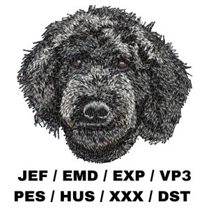 Poodle Embroidery Pattern - Dog Lovers Gift, Cute Pet, Animal Craft, Realistic Dog Portrait, Easy Project, DIY Home Decor, Canine Art