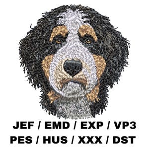 May include: Embroidered design of a Bernese Mountain Dog's head. The dog has black, white, and brown fur. The design is suitable for embroidery projects, such as patches, clothing, or home decor.