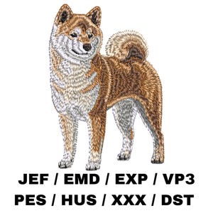 Könnte beinhalten: Gesticktes Bild eines Shiba Inu Hundes, der mit leicht geöffneten Vorderpfoten steht. Der Hund ist braun und weiß mit einem buschigen Schwanz.