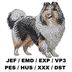 Op de afbeelding: Borduurontwerp van een blauwe merle Collie-hond. De hond staat met zijn hoofd naar de zijkant gedraaid. Het ontwerp is geschikt voor borduurprojecten.