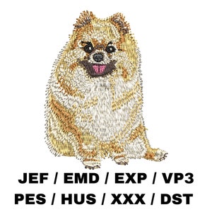 Pomeranian, German Toy Spitz - Full Body, Cute Pet, Dog Lovers, Realistic Portrait, Home Decor, Animal Crafts, Fun Project, Memorial Gift