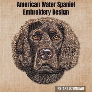 May include: An embroidery design featuring the head of an American Water Spaniel with brown fur and amber eyes. The text at the top reads American Water Spaniel Embroidery Design and the text at the bottom reads INSTANT DOWNLOAD.