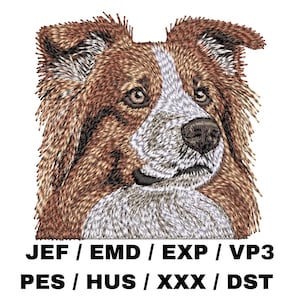 May include: Embroidered design of a brown and white dog with floppy ears. The dog is looking to the right. The design is available in several formats, including JEF, EMD, EXP, VP3, PES, HUS, XXX, and DST.