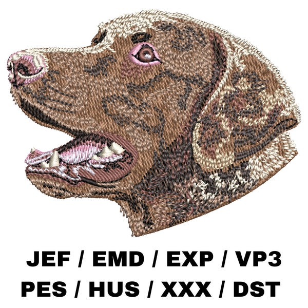 Chesapeake Bay Retriever embroidery file, Chessie, Realistic Dog, Trendy embroidery designs, dog portrait, for dog lovers, Animal Craft