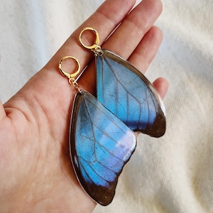 May include: A pair of butterfly wing earrings. The earrings have a vibrant blue and brown colour scheme, with gold-coloured hoops. The wings are detailed with intricate vein patterns, creating a delicate and eye-catching accessory.