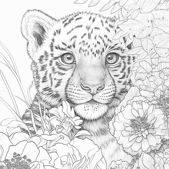 Baby Snow Tiger Coloring Pages