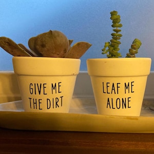 May include: Three white ceramic succulent pots with funny sayings. The first pot says "Give me the dirt", the second pot says "Leaf me alone", and the third pot says "Succ it up".