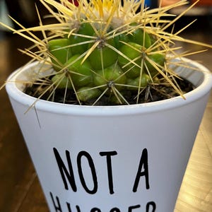 May include: A small cactus plant with yellow spines in a white ceramic pot. The pot has the text "NOT A HUGGER" printed on it in black.