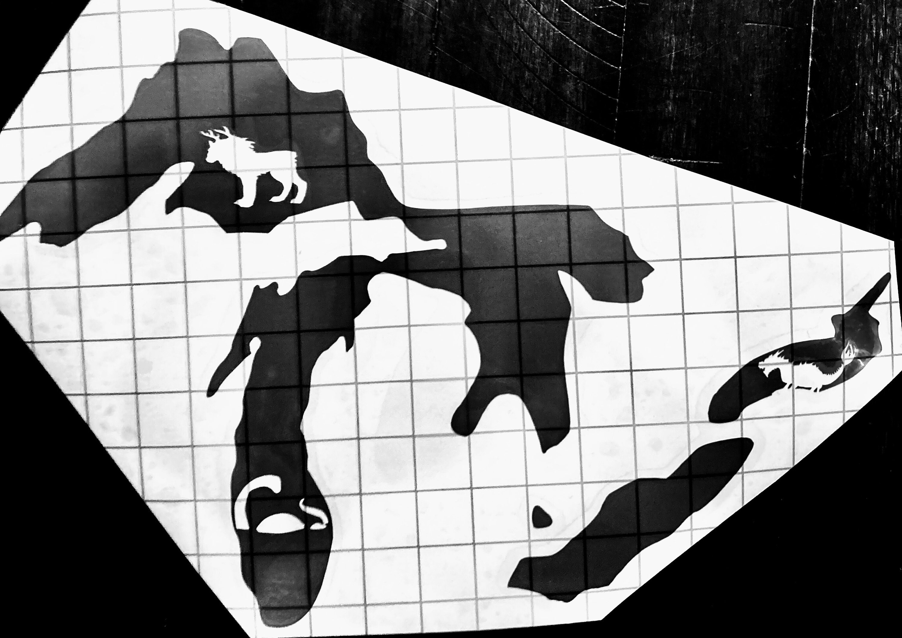 Lakes Monster Vinyl Decal – Waterproof Car Sticker (6x4 Inches) - Etsy