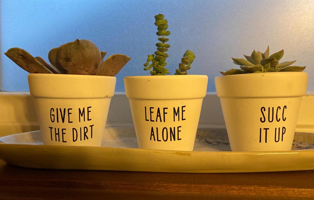 Funny Plant Pot Decals: Succulent & Cactus Humor - Set of 21 - Etsy