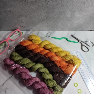 5 mini skein set
