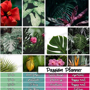 May include: A digital planner with a tropical theme. The planner has a pink and green color scheme and features a variety of tropical plants and flowers. The text "Passion Planner" is written in a pink font at the top of the planner. The planner includes sections for to do lists, goals, and other important tasks.