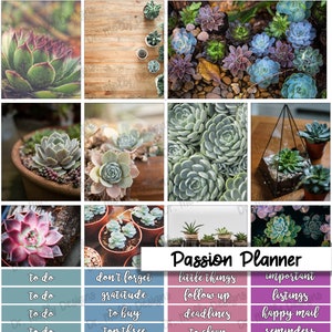 May include: A digital planner with a succulent theme. The planner has a variety of sections for to do lists, reminders, goals, and more. The planner is perfect for anyone who wants to stay organized and motivated.