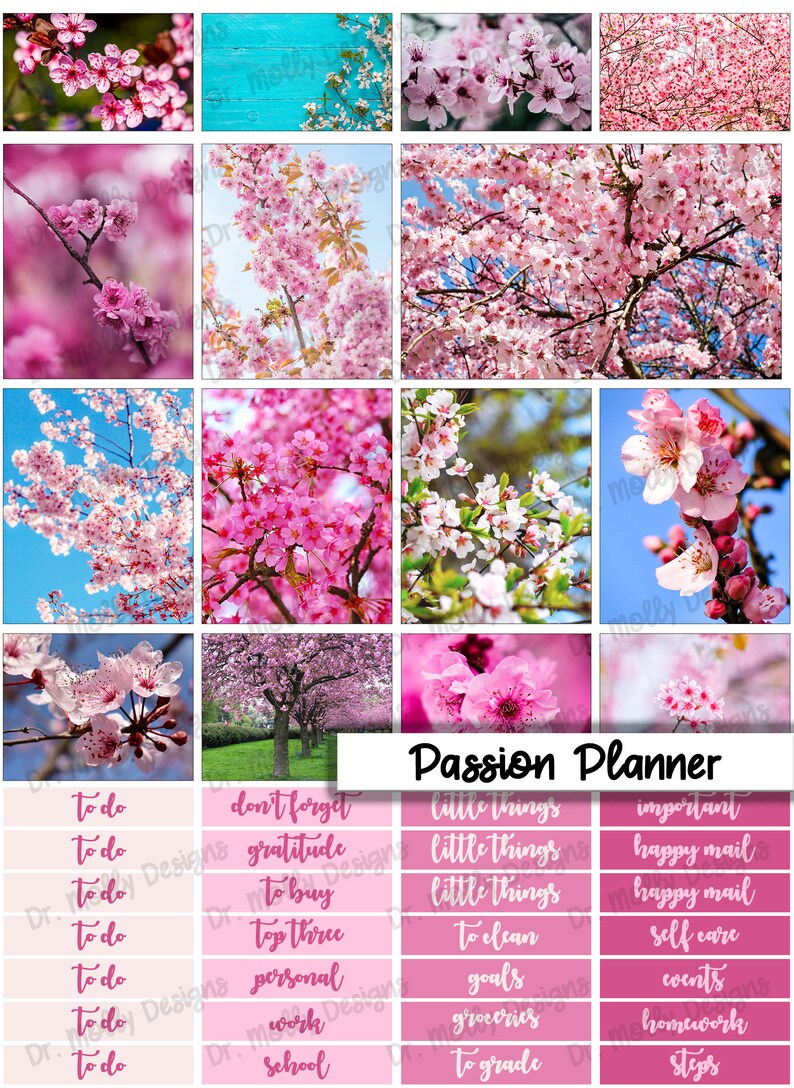Cherry Blossom | Passion Planner Printable Weekly Planner Stickers ...