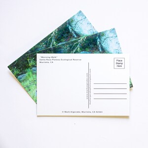 May include: A postcard featuring a photograph of a lush green forest with a rocky outcropping. The text on the postcard reads "Morning Walk" Santa Rosa Plateau Ecological Reserve Murrieta, CA. The back of the postcard has space for a stamp and an address.