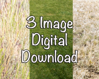 Green Grass Digital Download, 3 Image Lawn Weeds Background Image, Photo Texture, Digital Backdrop, Instant Download, Stock Photography