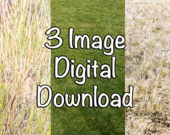 Green Grass Lawn Photo Backgrounds: 3 JPG Textures (Digital Download)