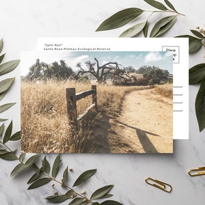 May include: A postcard featuring a photograph of a dirt path winding through a field of tall grass. A wooden split rail fence is on the left side of the path. The text "Split Rail" and "Santa Rosa Plateau Ecological Reserve" is printed at the top of the postcard.