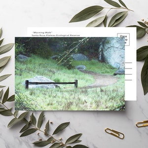 May include: A postcard with a photo of a path through a grassy area with a wooden fence and large rocks. The text on the postcard reads "Morning Walk" Santa Rosa Plateau Ecological Reserve.