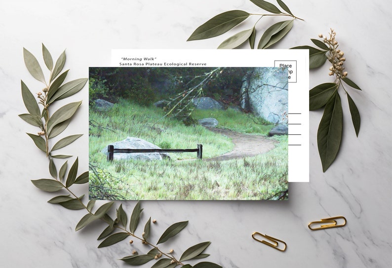 May include: A postcard with a photo of a path through a grassy area with a wooden fence and large rocks. The text on the postcard reads "Morning Walk" Santa Rosa Plateau Ecological Reserve.