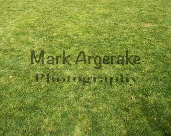 Green Grass Texture: Lawn Weeds Photo Background (Digital Download)