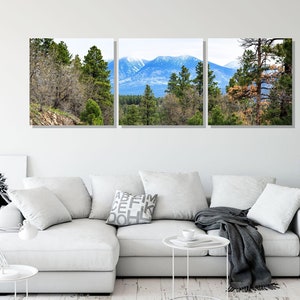 San Francisco Peaks Fine Art Wall Print, Flagstaff Arizona in Northern AZ, Ponderosa Pine Trees 3 Panel Triptych Photography