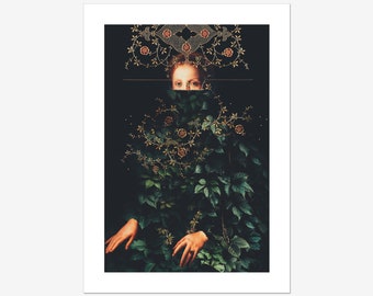 Patience II Print - [Flower head Art Print, Elegant Floral Portrait, RetroPop Botanical Wall Decor, Winter Flowers Art]