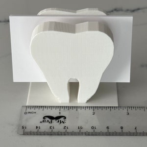 3D Printed Tooth Business Card Holder Dentist Dental Hygienist Tooth Fairy Orthodontics image 7