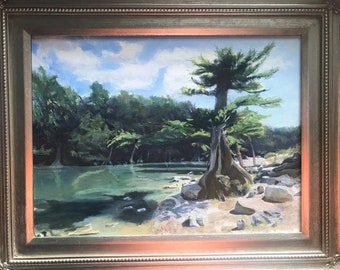Guadalupe River State Park original fine art Texas landscape river riparian cypress tree state parks