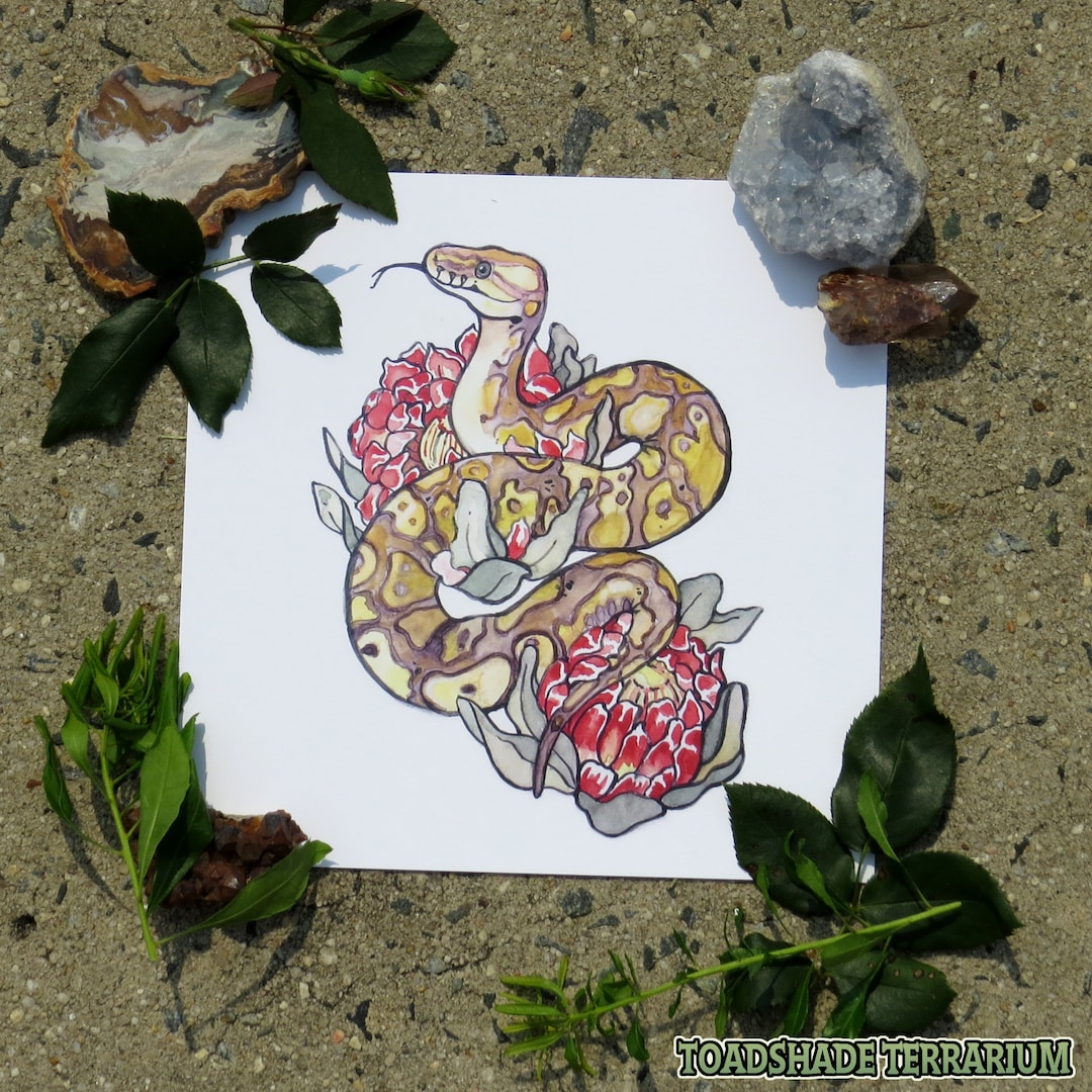 Ball Python Original Art Print | Floral Watercolor | 8x8
