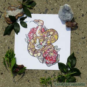 May include: A watercolor painting of a snake curled around red flowers. The snake is a light brown color with darker brown markings. The flowers are a vibrant red with white accents.