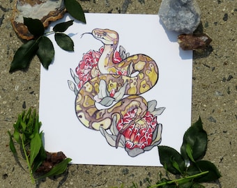 Ball Python Original Art Print | Floral Watercolor | 8x8" Square!