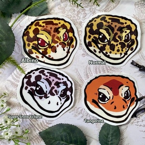 Leopard Gecko Vinyl Sticker