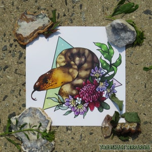 Magical Original Art Print Series 2.0 | Woma Python | 8x8" Square!