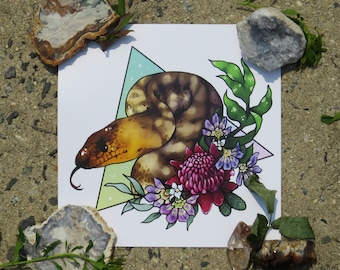 Magical Original Art Print Series 2.0 | Woma Python | 8x8" Square!