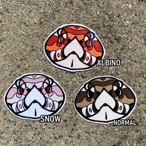 Western Hognose Vinyl Sticker