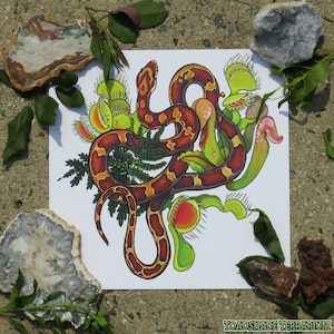 May include: A colorful illustration of a snake wrapped around a group of carnivorous plants. The snake is orange and brown with black markings. The plants are green with red and yellow accents. The illustration is on a white background.