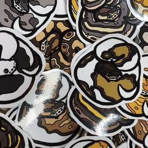 Ball Python Vinyl Sticker
