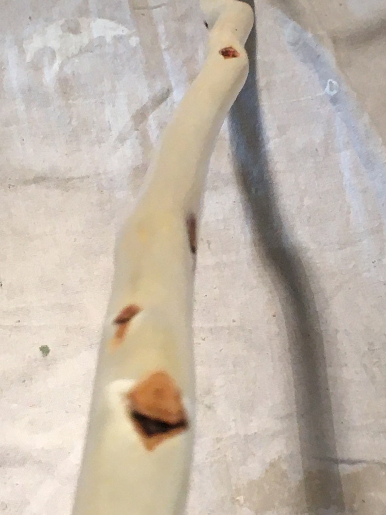 Diamond Willow Walking Stick Handmade for Hiking