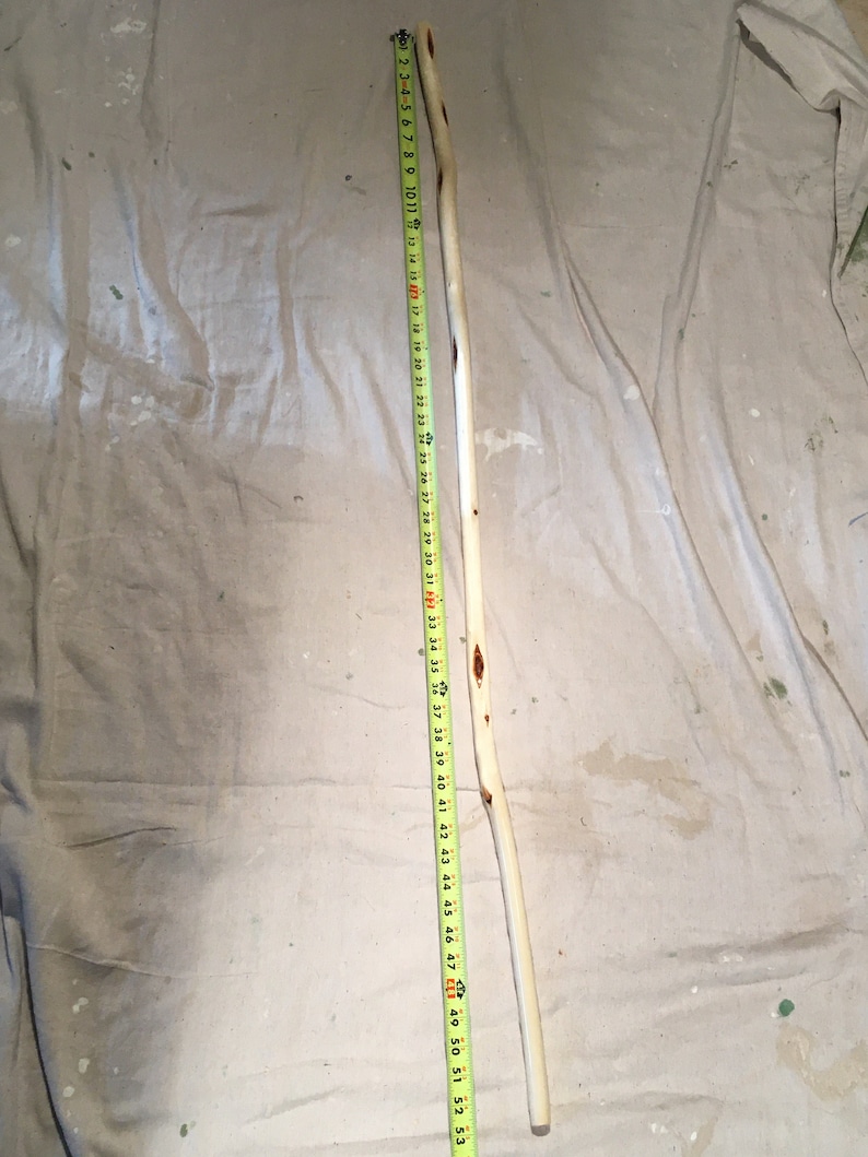 Diamond Willow Walking Stick Handmade for Hiking