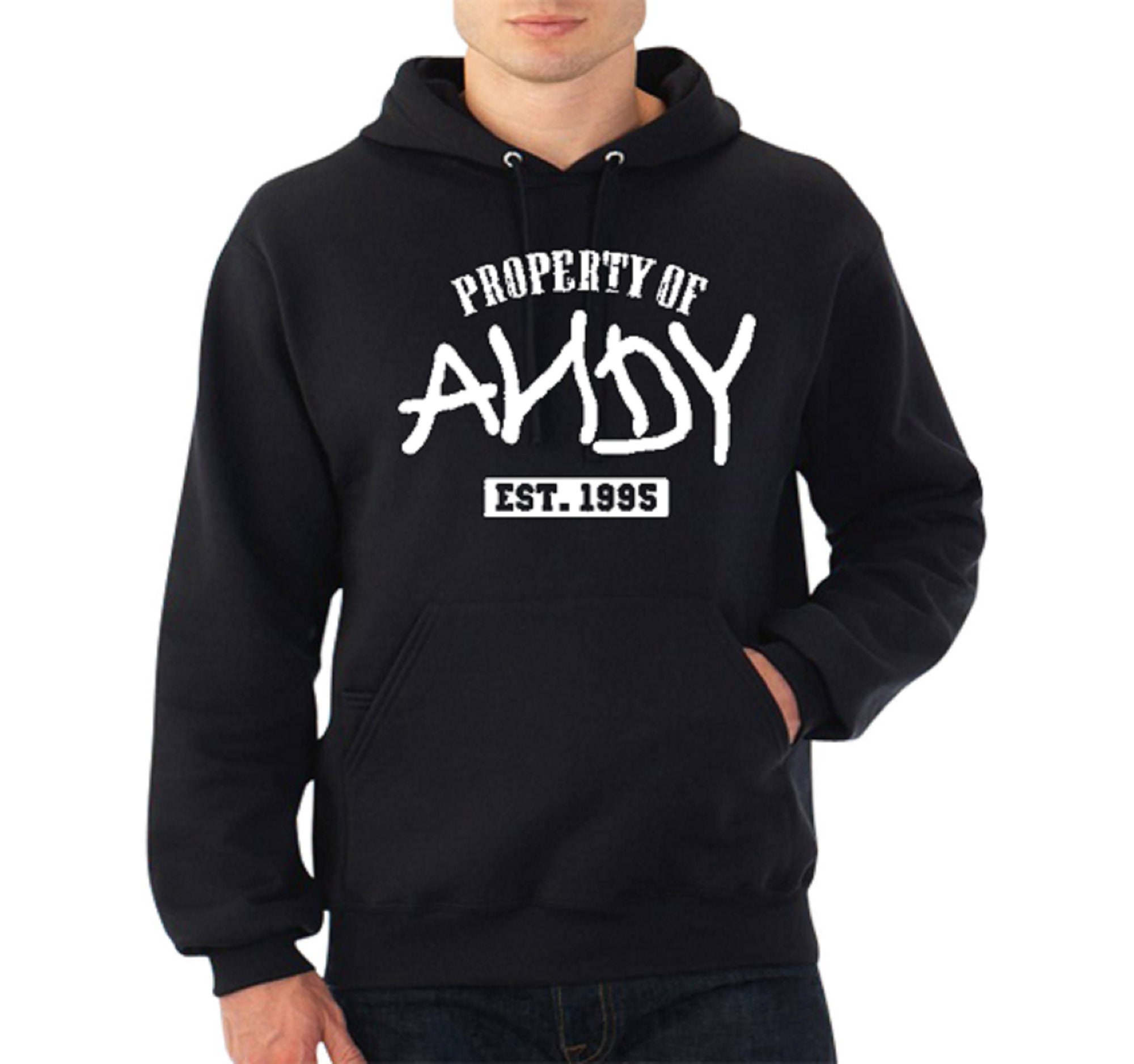 toy story hoodie adults