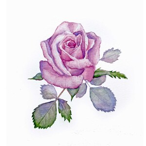 Watercolor Rose Original Painting Flower Art Floral Art Floral Painting Wall Art