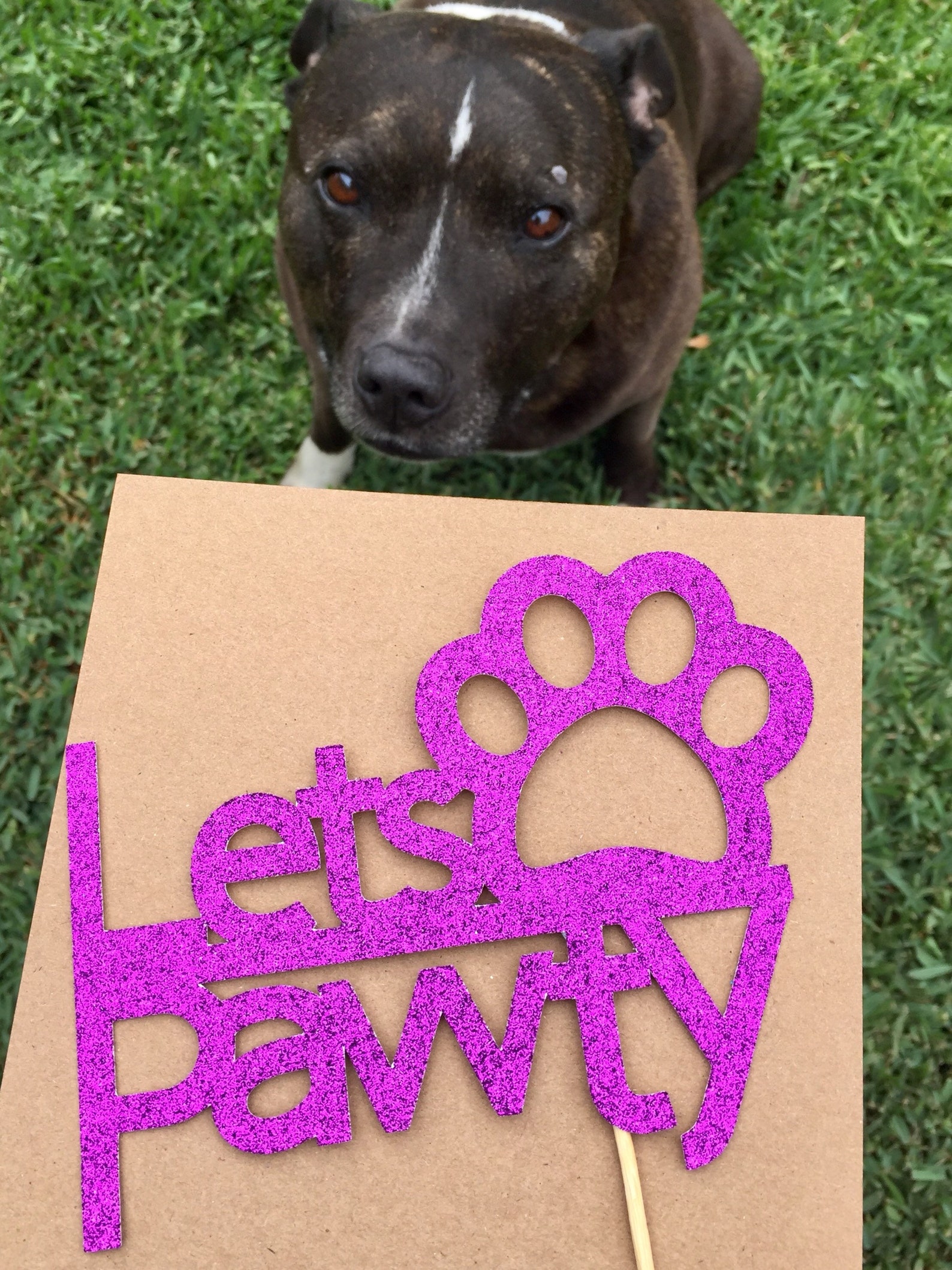 Lets Pawty PET Cake Topper Etsy