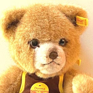 STEIFF Dorma Bear - EAN 0217/34 - MINT Condition