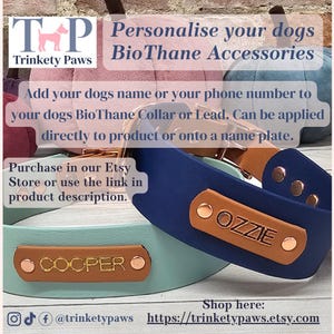 Può includere: Due collari per cani personalizzati, uno blu e uno verde chiaro, con dettagli in pelle marrone e accessori in metallo dorato. I collari hanno i nomi "Ozzie" e "Cooper" incisi su di essi. I collari sono realizzati in BioThane, un materiale resistente e impermeabile.