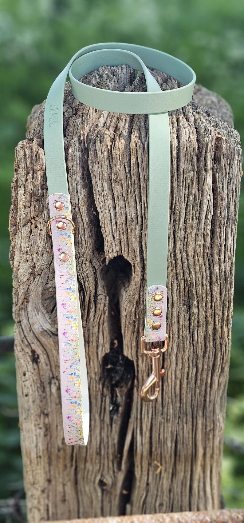 May include: A light green dog leash with a floral patterned accent. The leash features gold-colored hardware, including a clasp and rivets. The floral pattern includes pink, yellow, and blue flowers.
