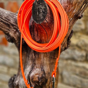 Op de afbeelding: Een fel neon-oranje lange hondenriem gemaakt van een glad, flexibel materiaal. De riem is in een cirkelvorm opgerold en is aan &eacute;&eacute;n uiteinde voorzien van een zilverkleurige metalen musketonhaak, vastgezet met kleine metalen klinknagels.