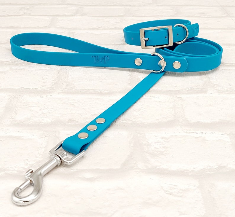 Waterproof Biothane Dog Collar & Waterproof Biothane Dog Lead in Lagune Blue